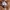 Carhartt Carpenter Rugged Flex Straight Brown Duck Canvas photo 5