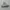 New Balance Streetwear Sportswear Sneakers Wanita white photo 2