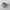 New Balance Streetwear Sportswear Sneakers Wanita white photo 3