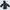 Winbreakers Jacket Head photo 5