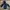 Winbreakers Jacket Head photo 6