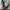 Diesel S-BRENTHA FLOW - sneakers photo 6