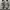 Woman by Common Projects Women's Track 80 Sneakers photo 1
