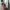 Woman by Common Projects Women's Track 80 Sneakers photo 4
