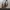 National Geographic LA BOCA Sneakers - GREY photo 3