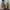 National Geographic LA BOCA Sneakers - GREY photo 6