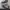 National Geographic LA BOCA Sneakers - GREY photo 1