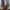 National Geographic LA BOCA Sneakers - GREY photo 5
