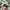 Aries Arise Streetwear Casual Hat Pria green photo 4