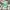 Aries Arise Streetwear Casual Hat Pria green photo 1