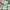 Aries Arise Streetwear Casual Hat Pria Green