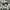 Aries Arise Streetwear Casual Hat Pria green photo 5