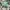 Aries Arise Streetwear Casual Hat Pria green photo 3