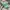 Aries Arise Streetwear Casual Hat Pria green photo 2