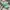 Aries Arise Streetwear Casual Hat Pria Green