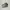 Nike air Force 1 photo 3