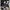 Casual Trench coat Wanita black photo 4