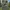 GAP Luxury Casual Sweater Pria green photo 2
