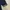 LEW COQ SPORTIF PUFFER JACKET photo 8