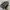 The North F*ce BigShoot 32L Backpack Grey photo 5