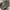 The North F*ce BigShoot 32L Backpack Grey photo 3