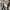 Burberry Luxury Casual Shirt Wanita brown photo 7