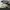 Travis Nike Air Max 270 React ENG 'Cactus Trails' photo 3