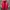 Sportswear Windbreaker Pria white red photo 1