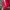 Sportswear Windbreaker Pria white red photo 4