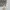 Sweater Pria white tan photo 5