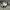 Y2K Avant Garde Casual pants Pria green photo 3