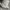 Y2K Avant Garde Casual pants Pria green photo 4