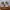 Adidas Tubular Shadow Mens Grey/White Sneakers Original  photo 4