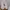 Adidas Tubular Shadow Mens Grey/White Sneakers Original  photo 3