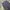 BAGGY JEANS DARKGREY photo 6