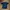 Hummel Jersey