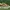 Nike Airmax 1 ugly ducking Pecan photo 3
