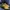Onitsuka Tiger Streetwear Casual Casual shoe Pria yellow photo 1