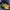 Onitsuka Tiger Streetwear Casual Casual Shoe Pria Yellow