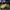Onitsuka Tiger Streetwear Casual Casual shoe Pria yellow photo 5