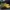 Onitsuka Tiger Streetwear Casual Casual shoe Pria yellow photo 4
