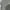 Adidas Casual Brief Pria gray photo 4