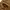 Quilted Jacket Brown photo 5