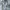 Japanese Brand Sosso Vintage Y2K Distressed Dirty Jeans photo 1