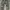 Winfield Trousers Camouflage Cargo Pants Military