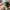 Winfield trousers camouflage cargo pants military photo 3
