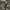 Winfield trousers camouflage cargo pants military photo 2