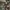 Winfield Trousers Camouflage Cargo Pants Military