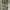 Winfield trousers camouflage cargo pants military photo 5