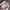 Y2K DEVELOP PAINT ART LONGPANTS photo 8